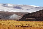 Laguna Brava La Rioja